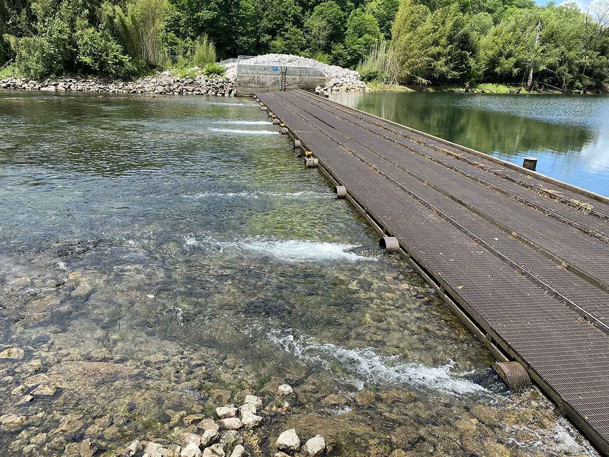 Hibbs Island Weir